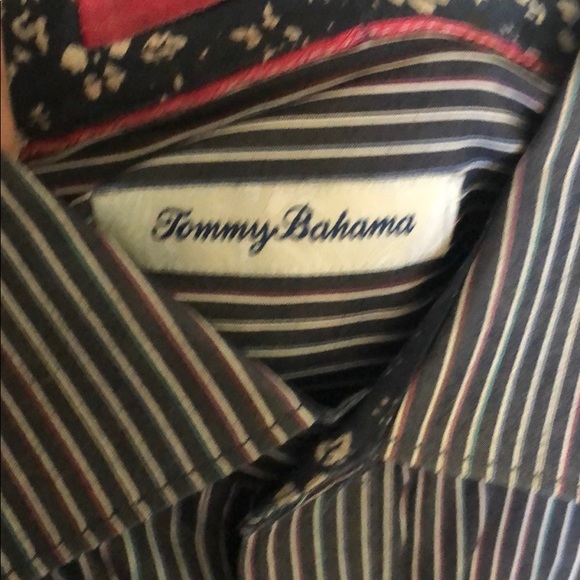 Tommy Bahama In Stripes - Picture 5 of 7